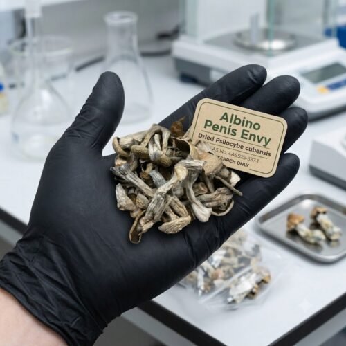 Where to Buy Albino Penis Envy Magic Mushroom Online USA?