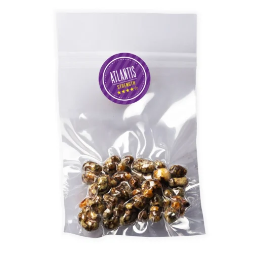 Psilocybe-Atlantis-Magic-Truffles-Online-Europe.webp Where Can I Order Psilocybe Atlantis Magic Truffles Online USA?