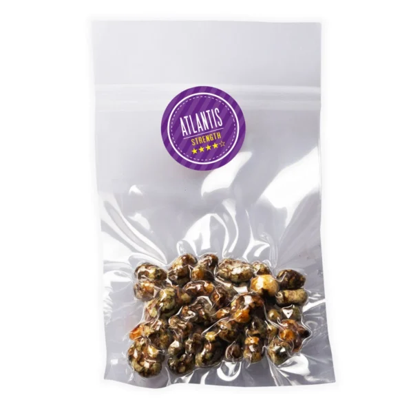 Where Can I Order Psilocybe Atlantis Magic Truffles Online USA?