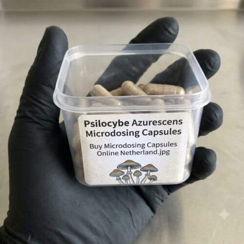 Psilocybe-Azurescens-cap1.jpg Where to Buy Psilocybe Azurescens Shroom Capsules Online USA?
