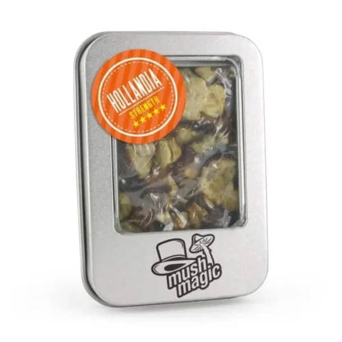 Psilocybe-Hollandia-Magic-Truffles1.webp Where can I Order Psilocybe Hollandia Magic Truffles Online USA?