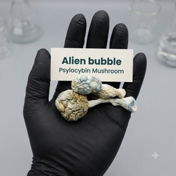 Order Alien Bubble Cubensis Psilocybin Mushrooms online USA