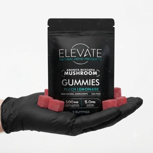 amanita-elevate-gum-1.jpg Where to Buy Amanita Muscaria Mushroom Gummies Online USA