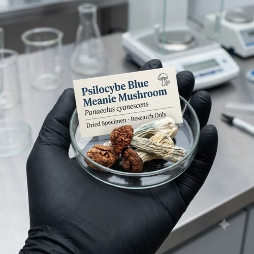 Where to Buy Blue Meanie Magic Mushrooms Online USA?