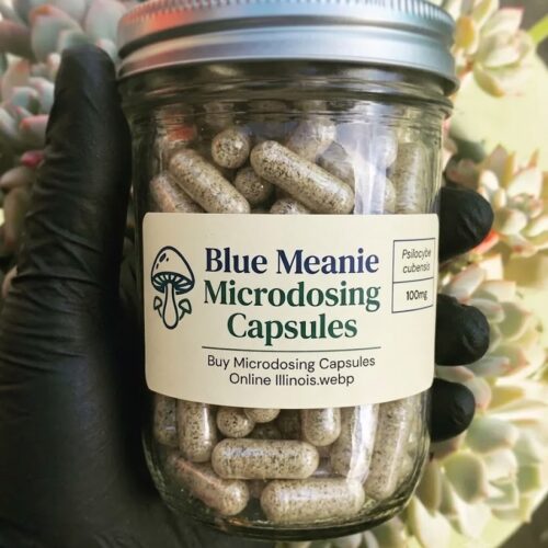 blue-meanoe-cap1.jpg Where to buy Blue Meanies Psilocybin Mushrooms Capsules Online USA