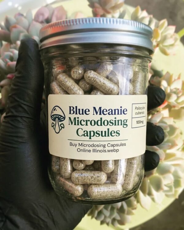 blue-meanoe-cap1.jpg Where to buy Blue Meanies Psilocybin Mushrooms Capsules Online USA