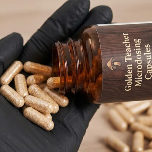 Where do I Buy Golden Teacher Mushrooms Capsules Online USA?