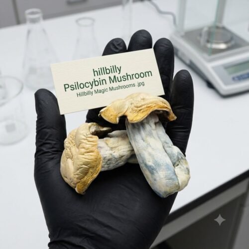 Where to Buy Hillbilly Magic Mushrooms Online USA