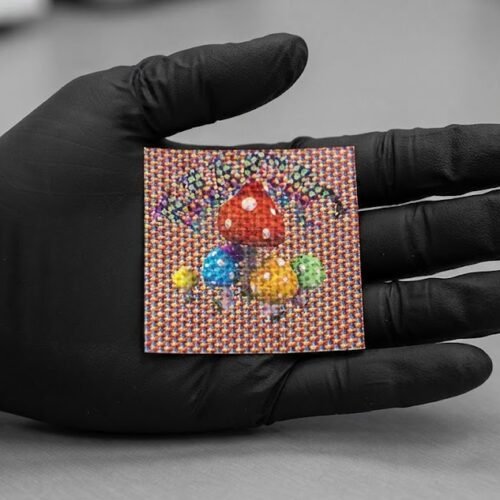 Where do I Buy LSD Blotter Tabs Online USA?