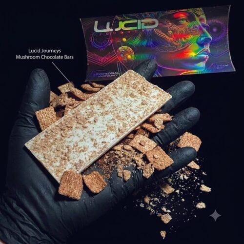 Where to Buy Lucid Journeys Mushroom Chocolate Bars Online USA?