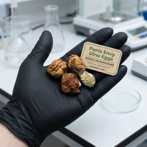 Where do I Buy Penis Envy Dino Eggs Magic Mushrooms Online USA