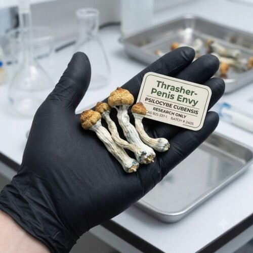 Where do I Buy Dried Penis Envy Mushroom Online USA?
